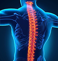 Dr Gavern Cherry Chiropractic